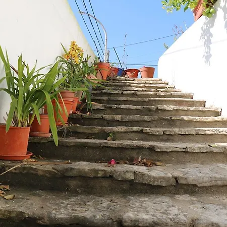 Tatil Evi Casa Em Sao Martinho São Martinho do Porto